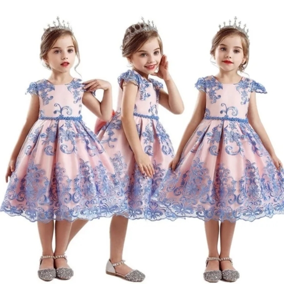 🎀SALE🎀NEW Embroidery Princess Flower Lace Bow Wedding, Birthday Party Dress - Picture 1 of 9